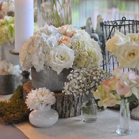 Bed & Breakfast And Breakfast Da Carla